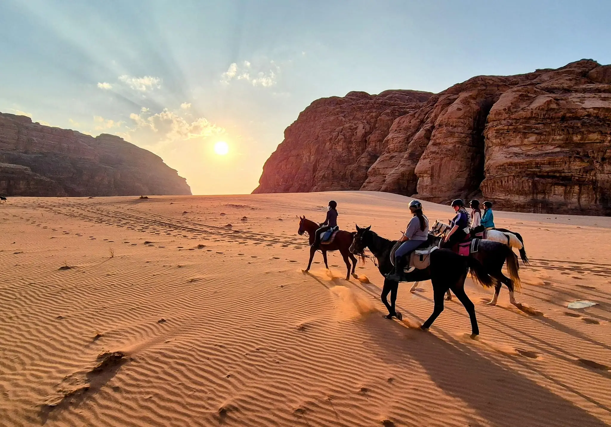 Petra & Wadi Rum Adventure